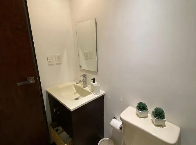 Apartment Corazon De Condesa